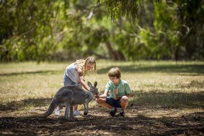 Kangaroo Island: Kid’s Paradise